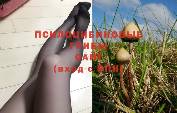 кокаин колумбия Алексин