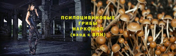 МДПВ Алексеевка