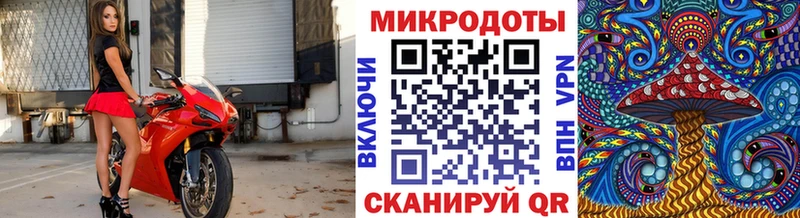 Галлюциногенные грибы MAGIC MUSHROOMS  Топки 
