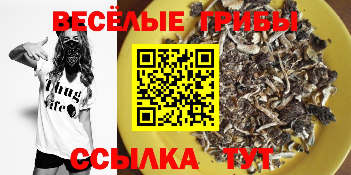 Галлюциногенные грибы Cubensis  Вход с VPN  Топки 